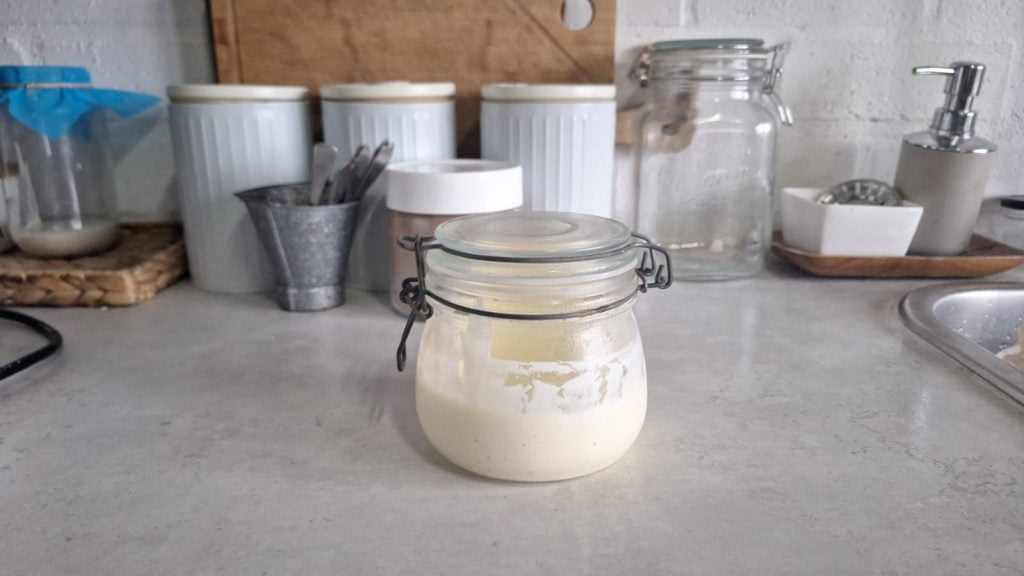 homemade mayonaise​